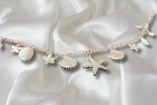Chaine de ventre SIRENE