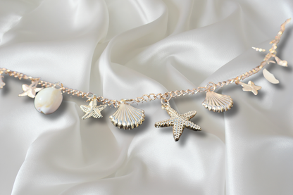 Chaine de ventre SIRENE